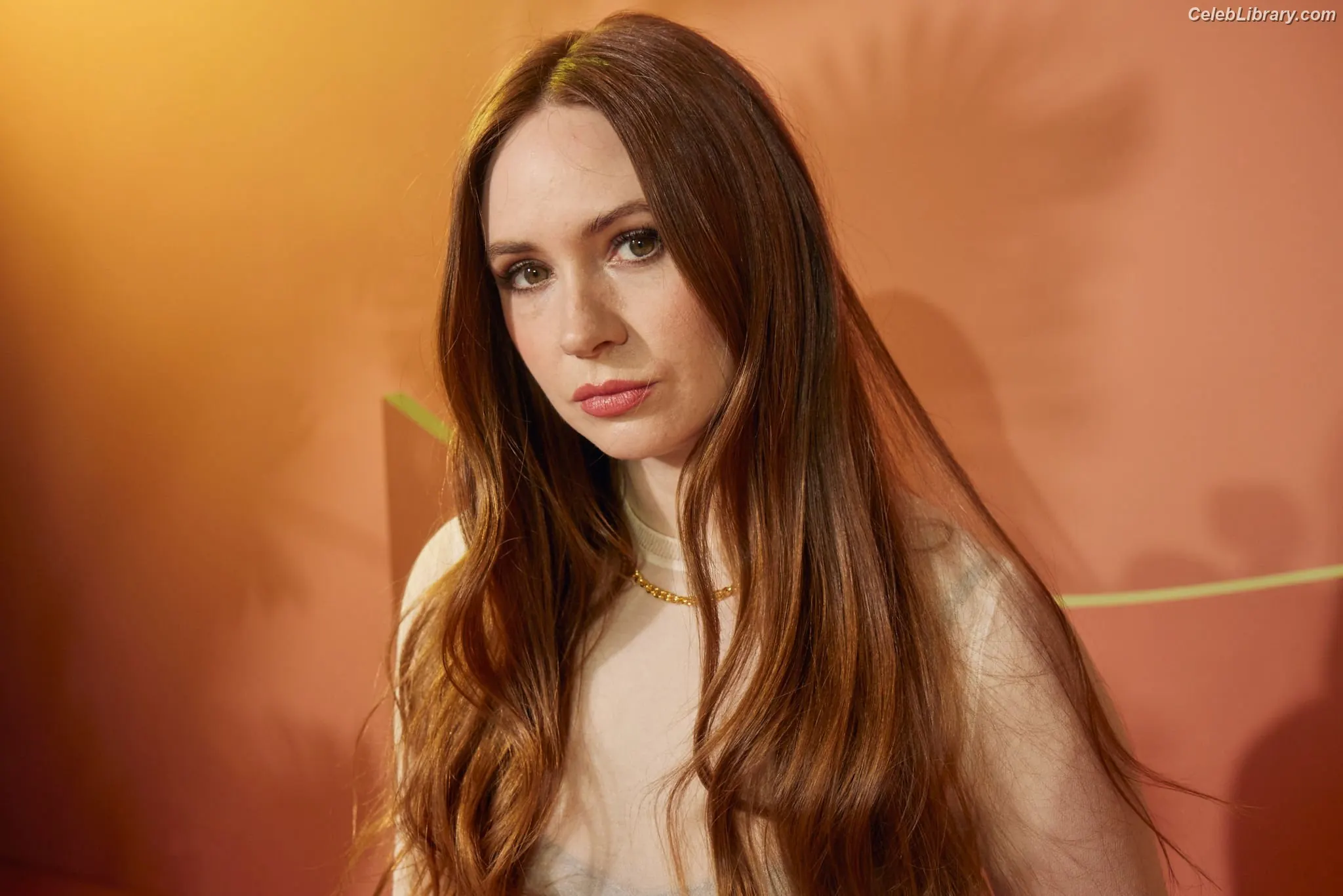 Karen Gillan photo 1 of 789