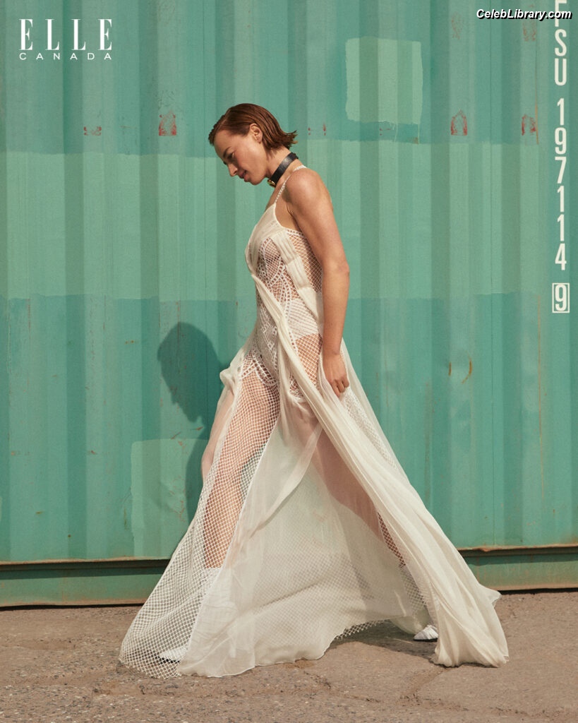 Karine Vanasse photo 24 of 42