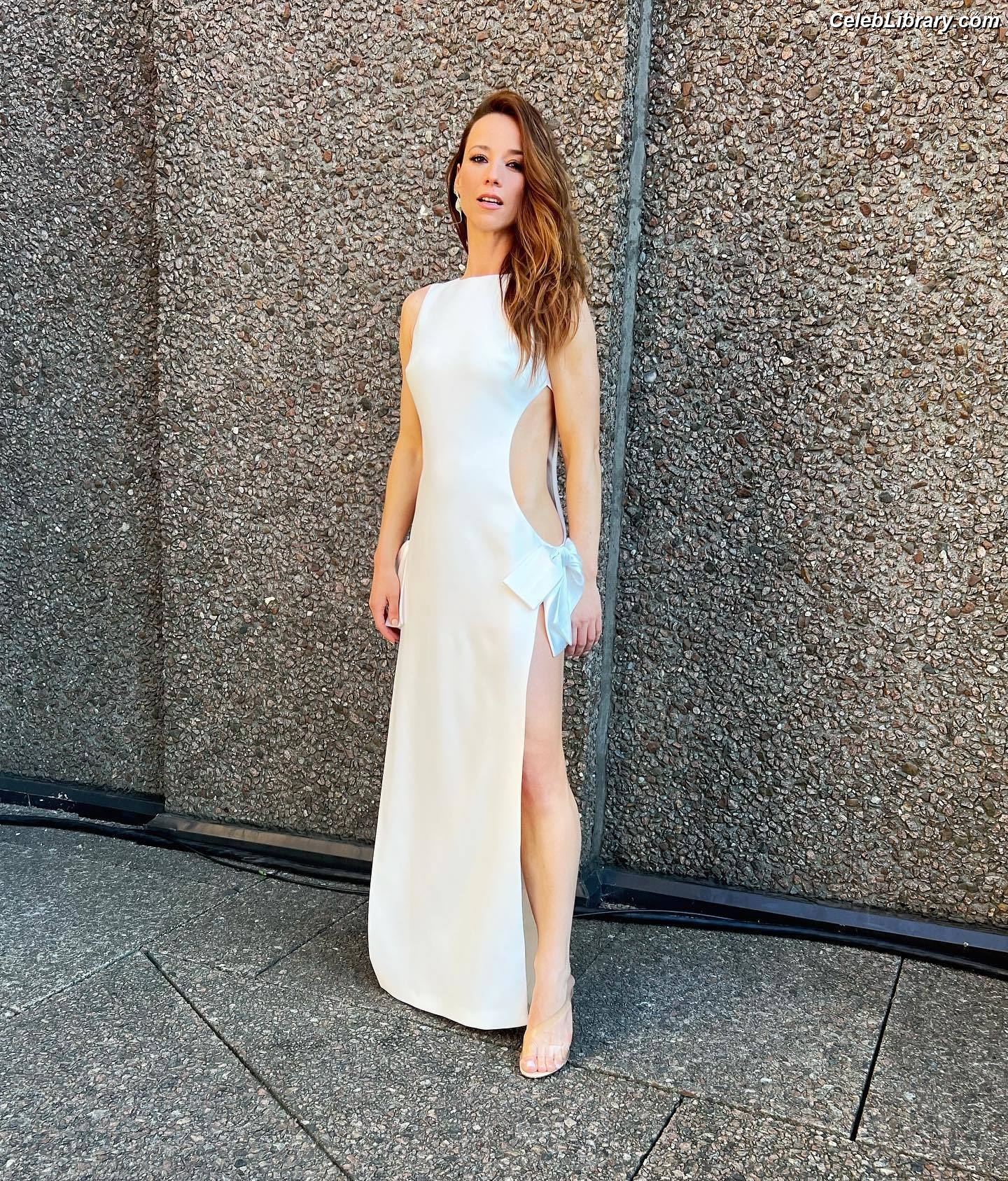 Karine Vanasse photo 13 of 42