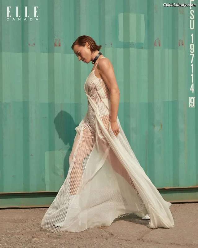 Karine Vanasse photo 24 of 42