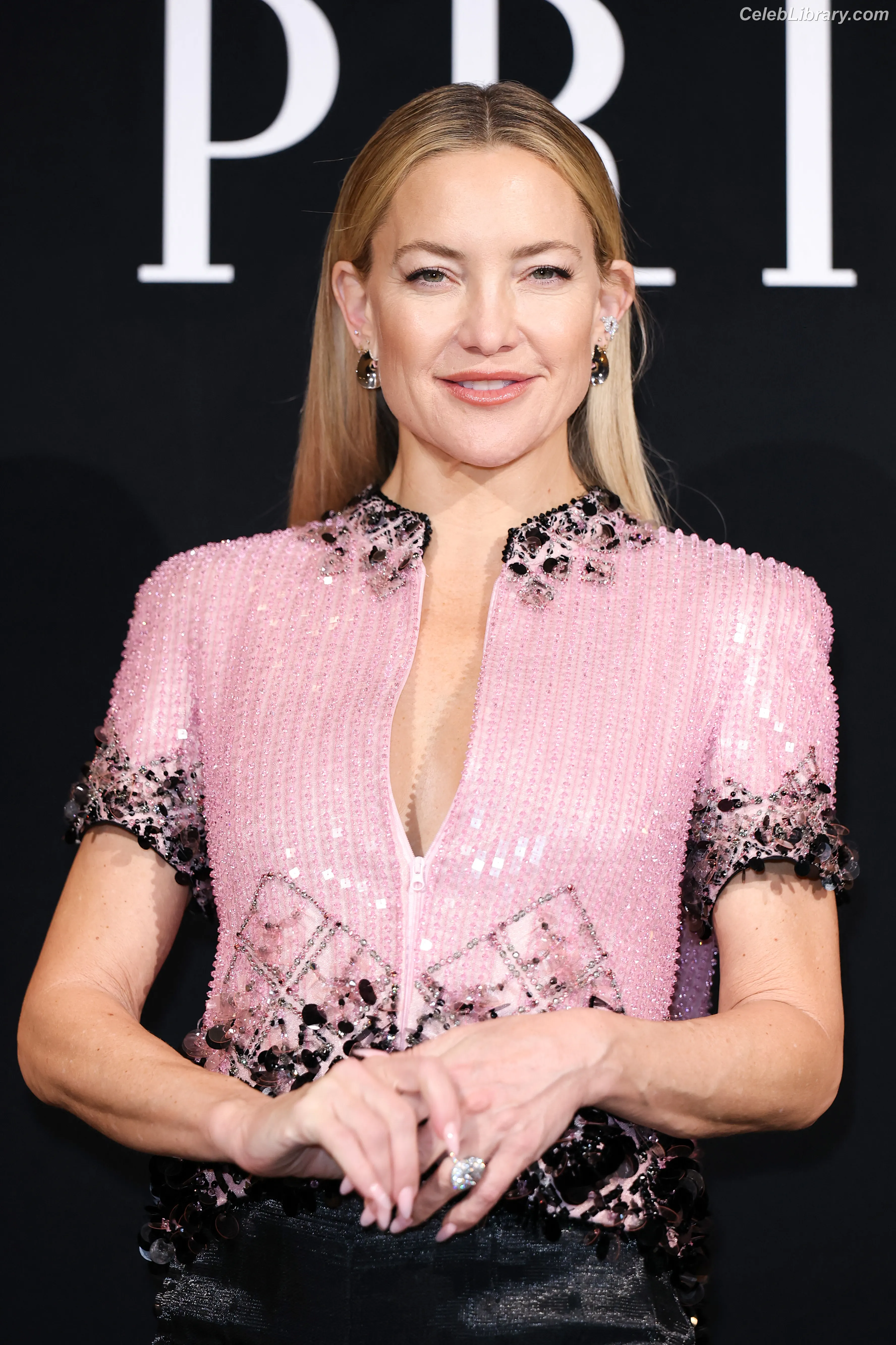 Kate Hudson photo 20 of 711