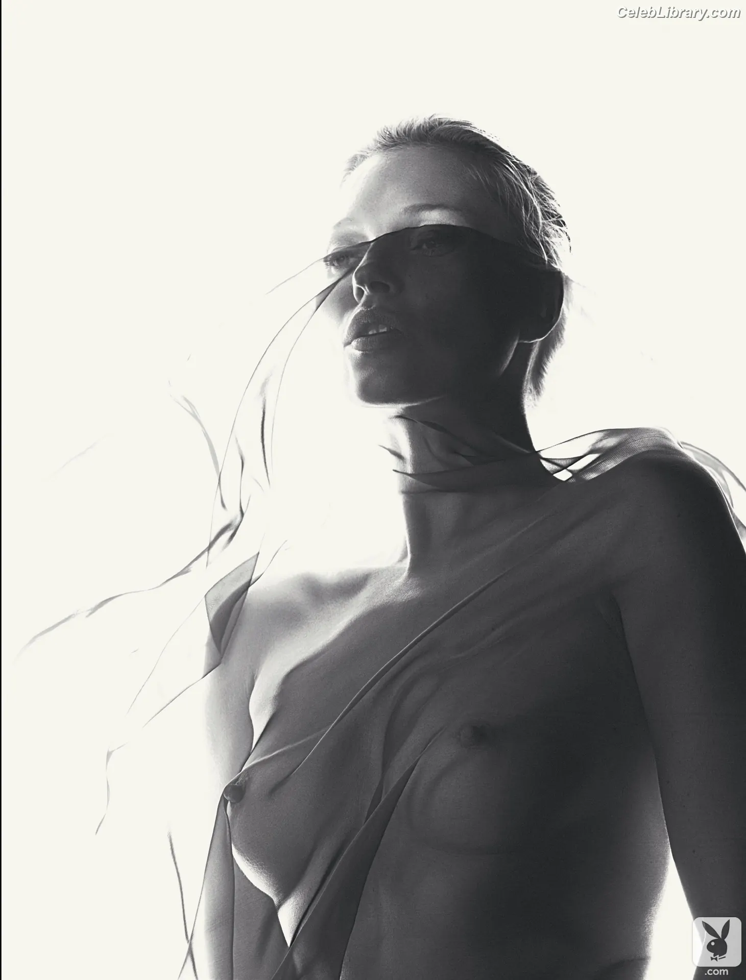 Kate Moss photo 4 of 172