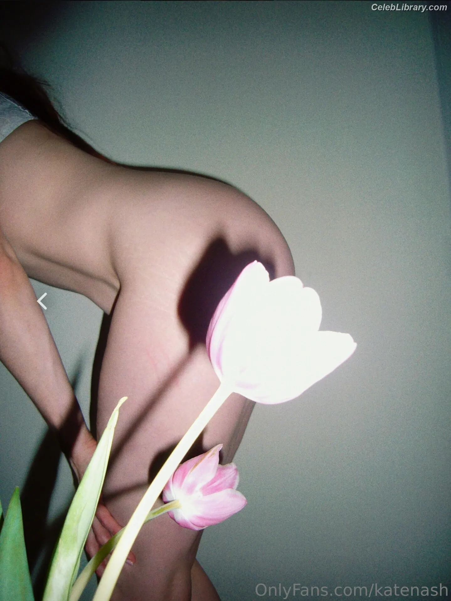 Kate Nash photo 12 of 653