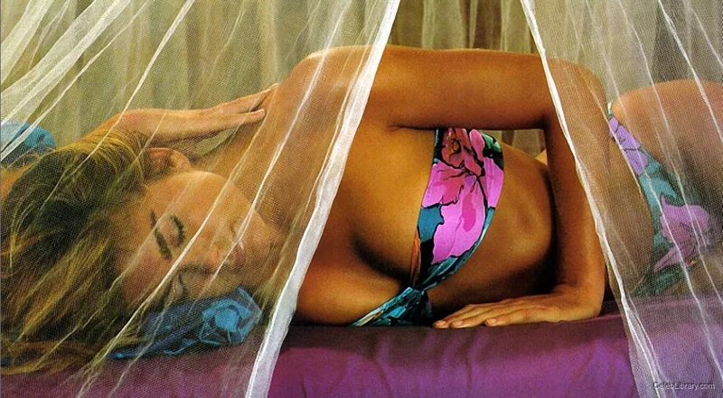Kathy Ireland photo 10 of 358