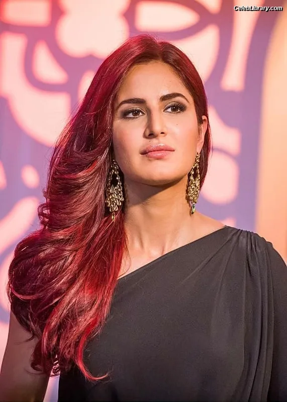 Katrina Kaif photo 4 of 5