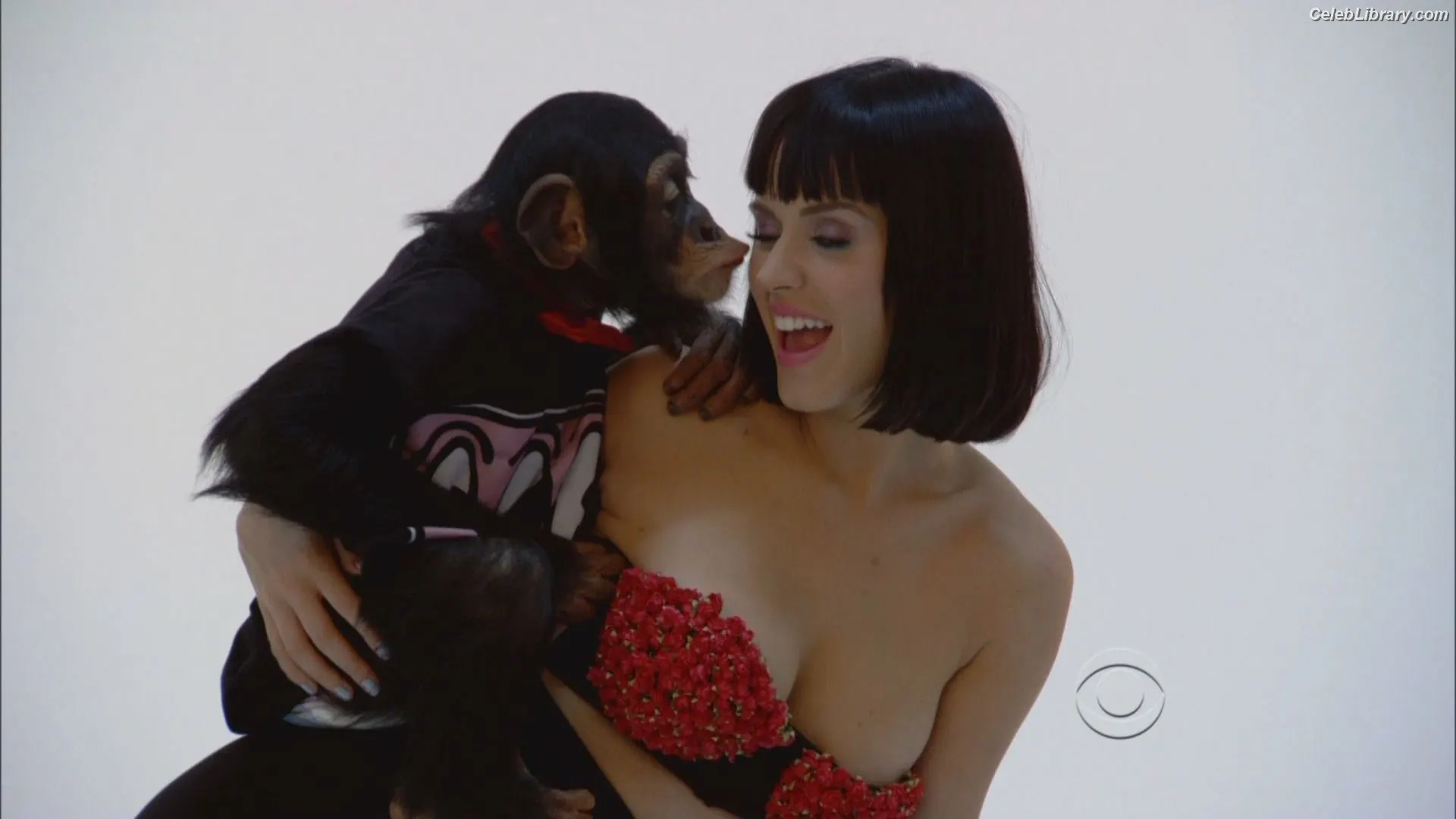 Katy Perry photo 2 of 1939
