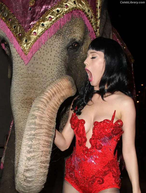 Katy Perry photo 10 of 1940