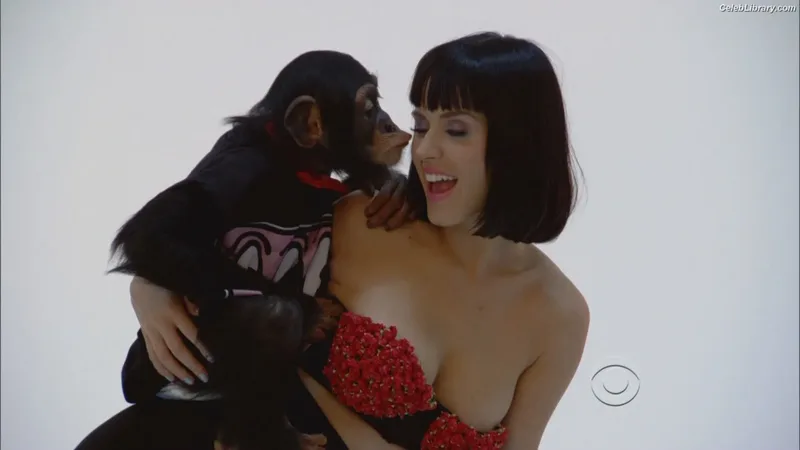 Katy Perry photo 2 of 1940