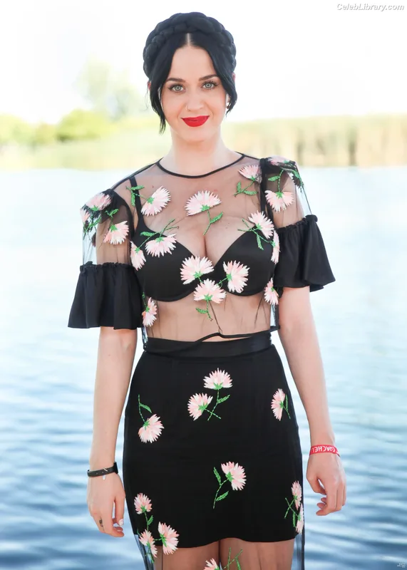 Katy Perry photo 9 of 1940