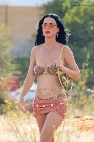 Katy Perry photo 24 of 1940