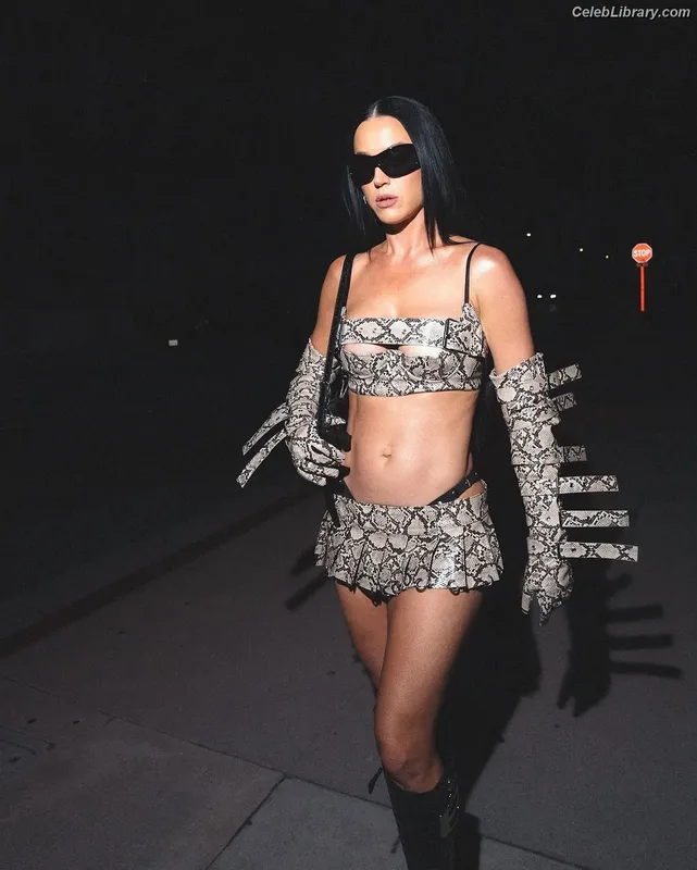 Katy Perry photo 8 of 1940