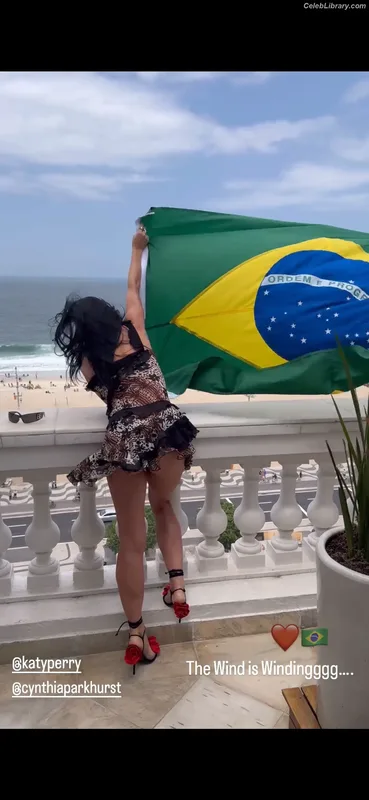 Katy Perry photo 20 of 1940