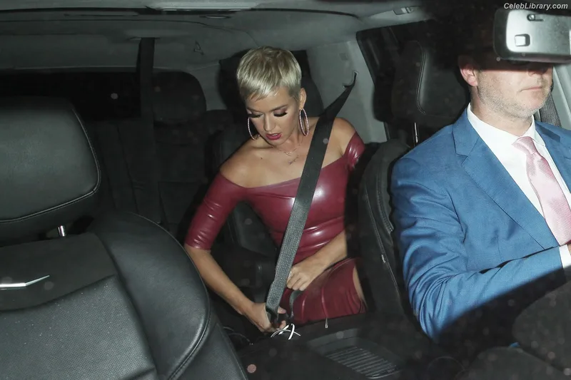 Katy Perry photo 3 of 1940