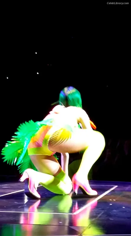 Katy Perry photo 12 of 1940