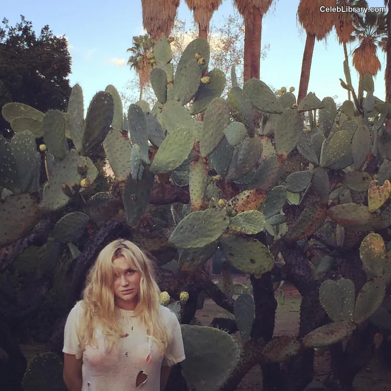Kesha photo 17 of 577