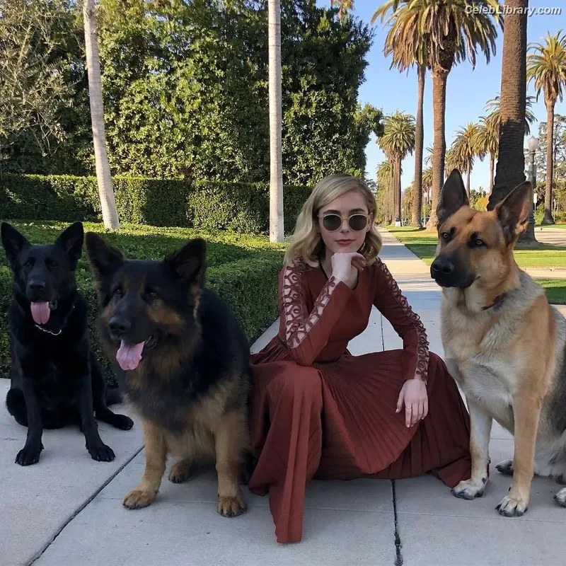 Kiernan Shipka photo 7 of 2601