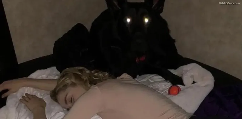 Kiernan Shipka photo 5 of 2601