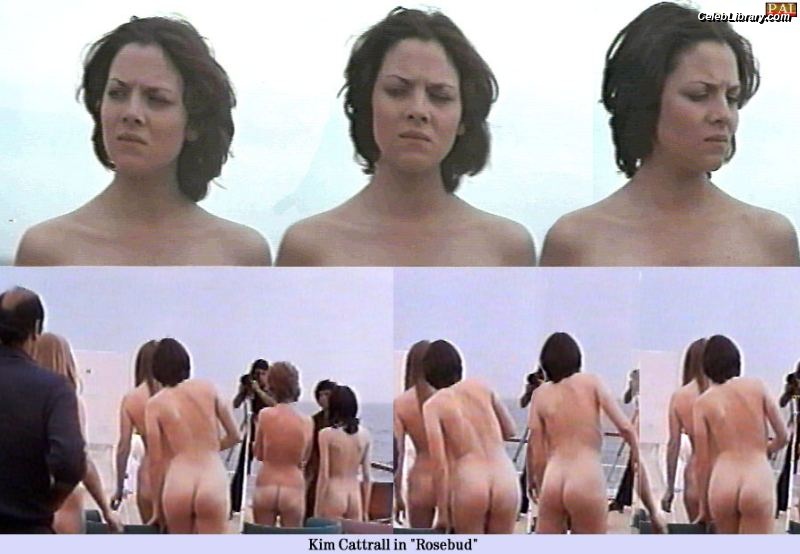 Kim Cattrall photo 23 of 44