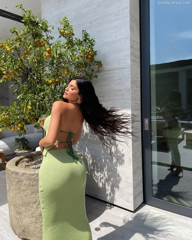 Kylie Jenner photo 13 of 4071