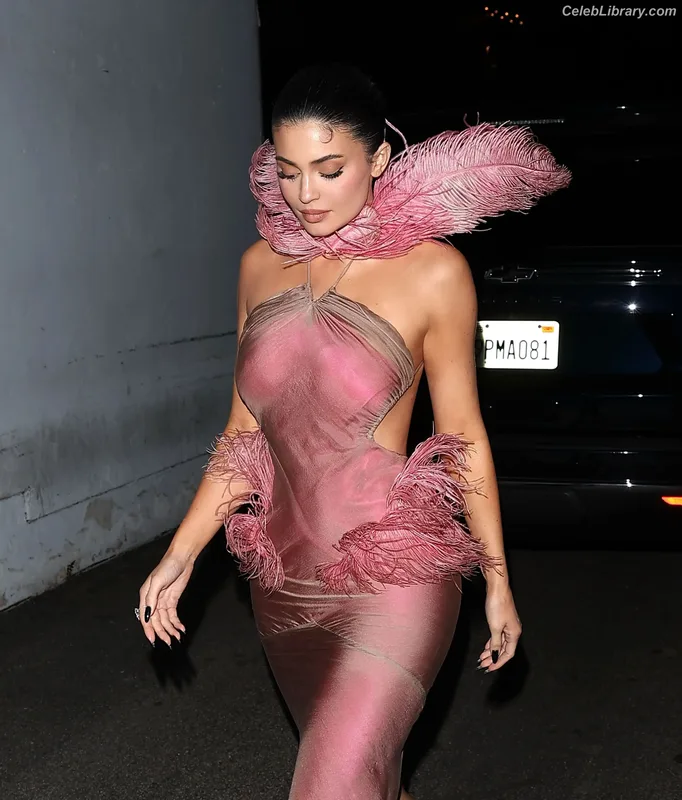 Kylie Jenner photo 19 of 4071