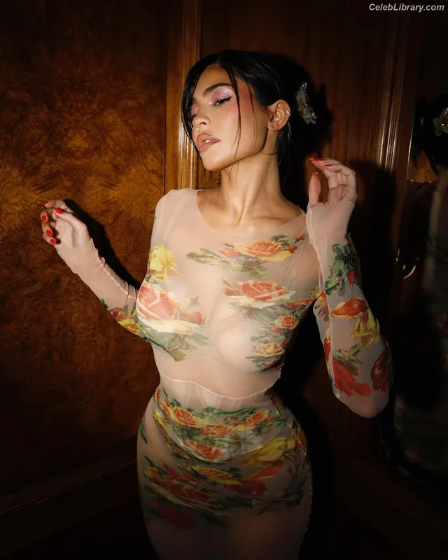 Kylie Jenner photo 12 of 4071