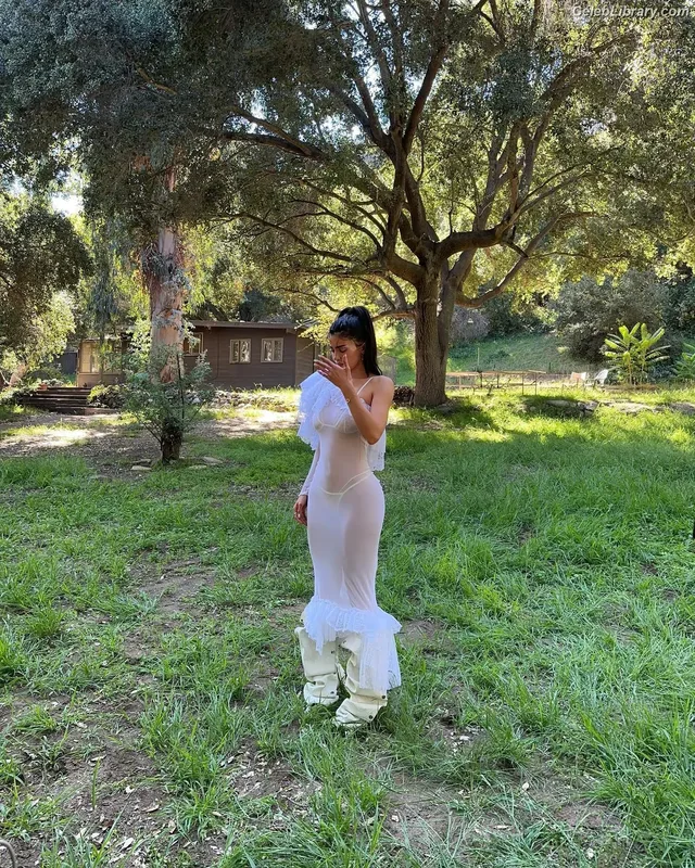 Kylie Jenner photo 4 of 4071