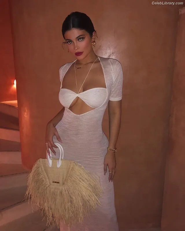 Kylie Jenner photo 13 of 4071