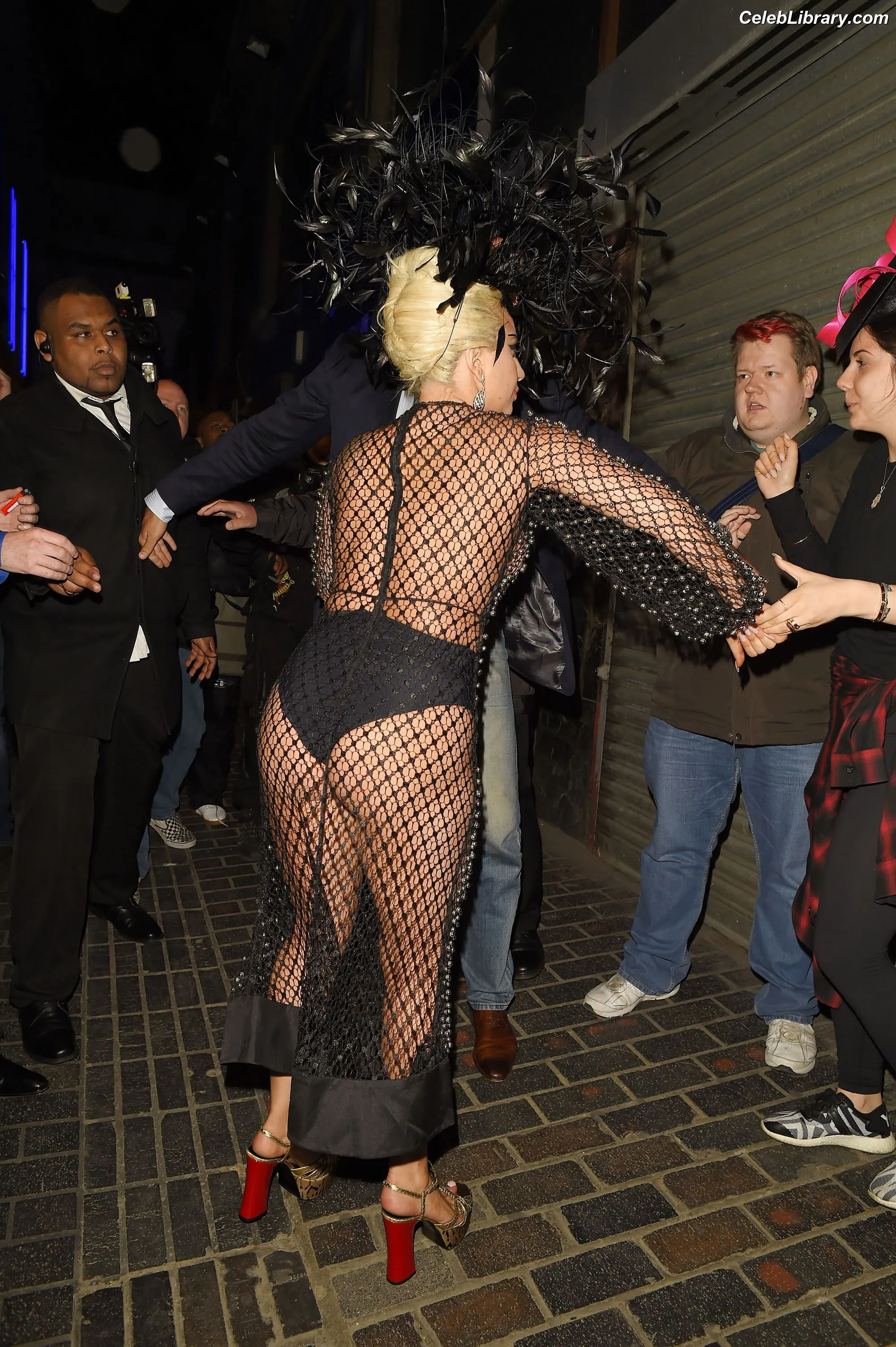 Lady Gaga photo 5 of 3664