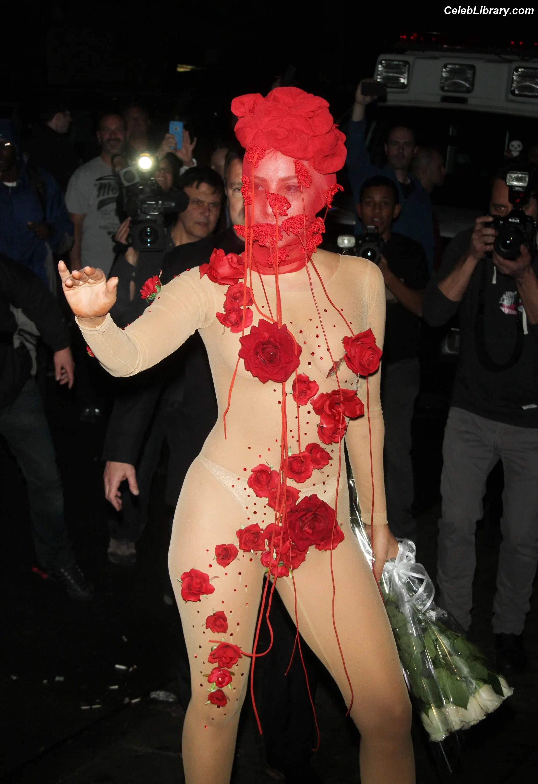 Lady Gaga photo 11 of 3664