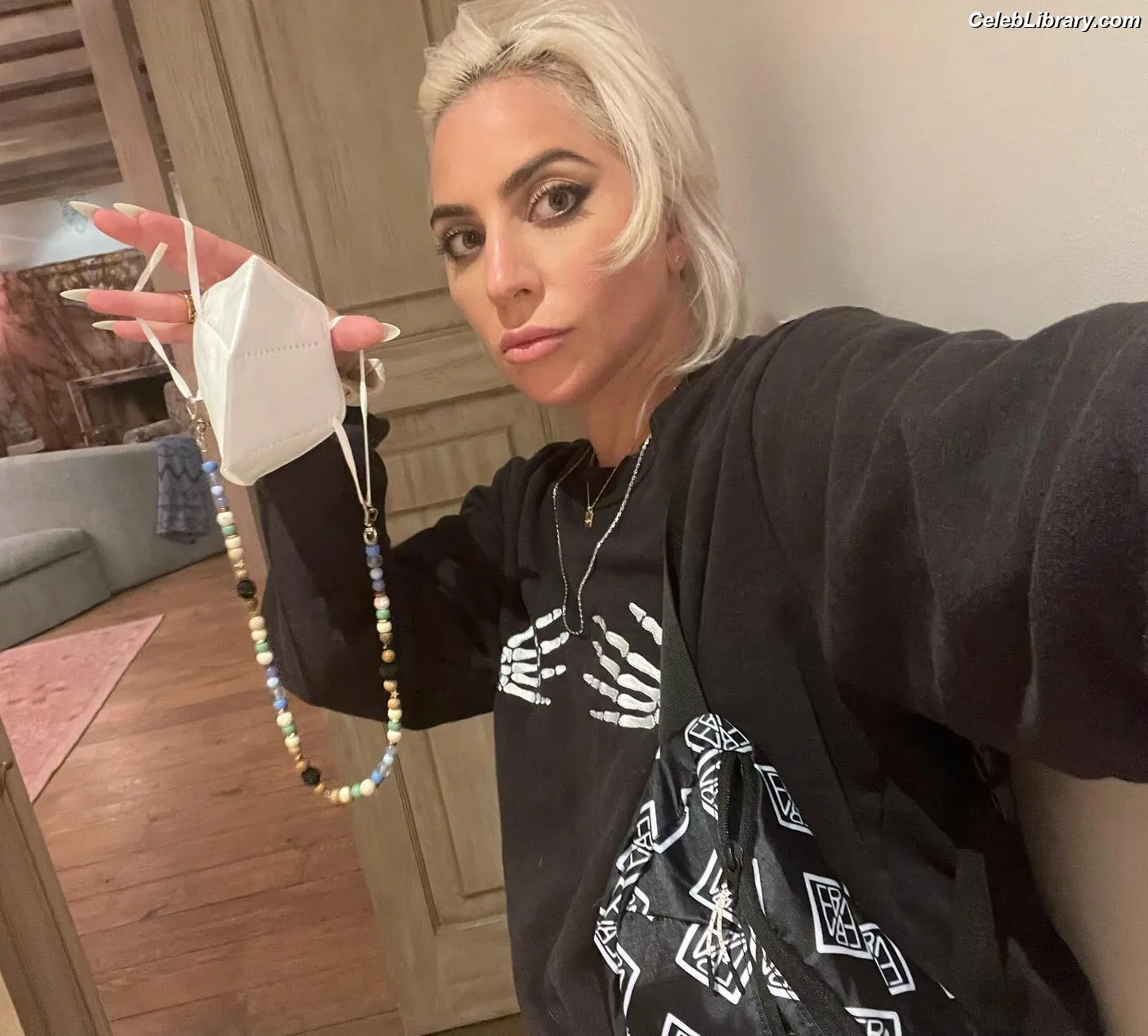 Lady Gaga photo 20 of 3664