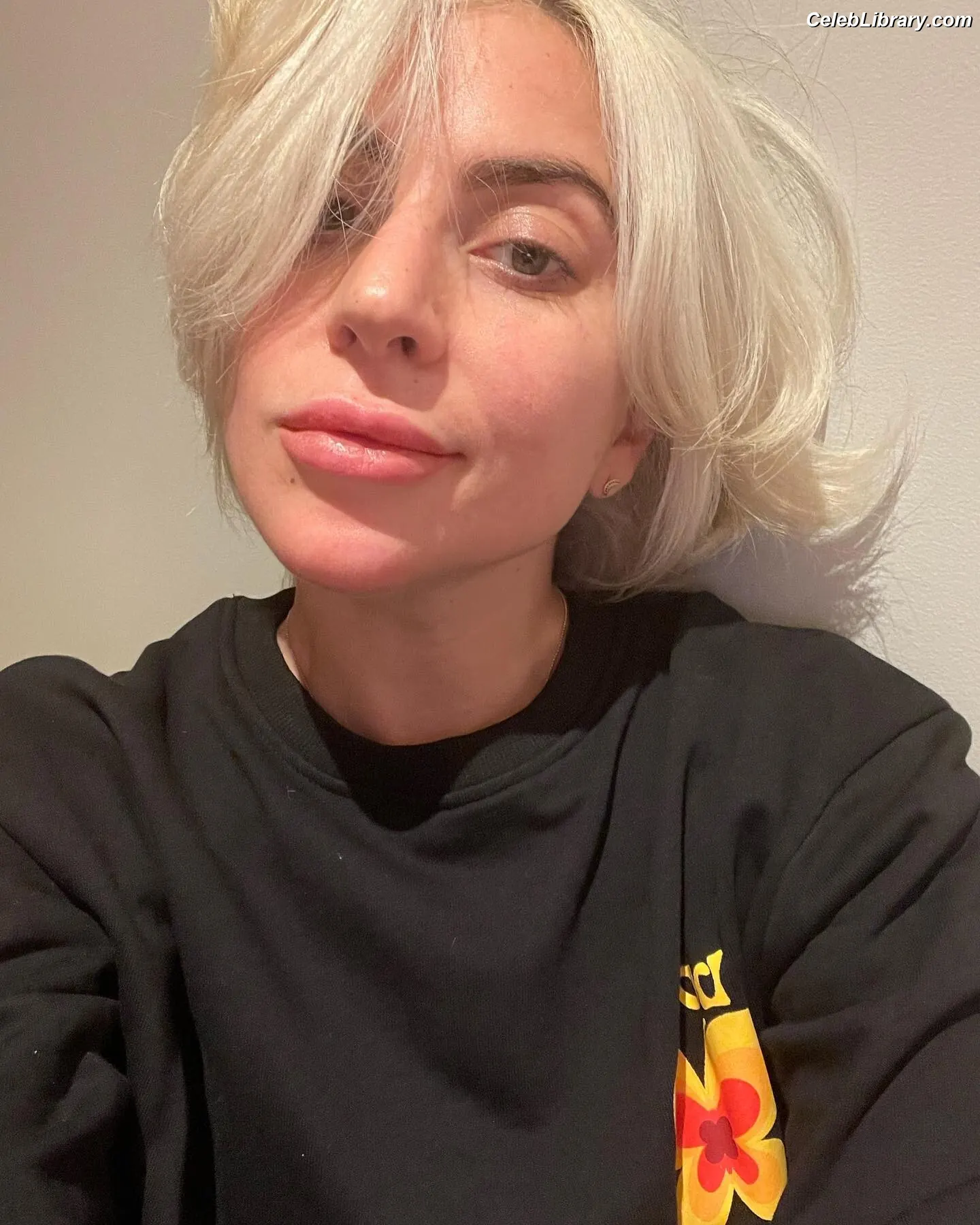 Lady Gaga photo 21 of 3664
