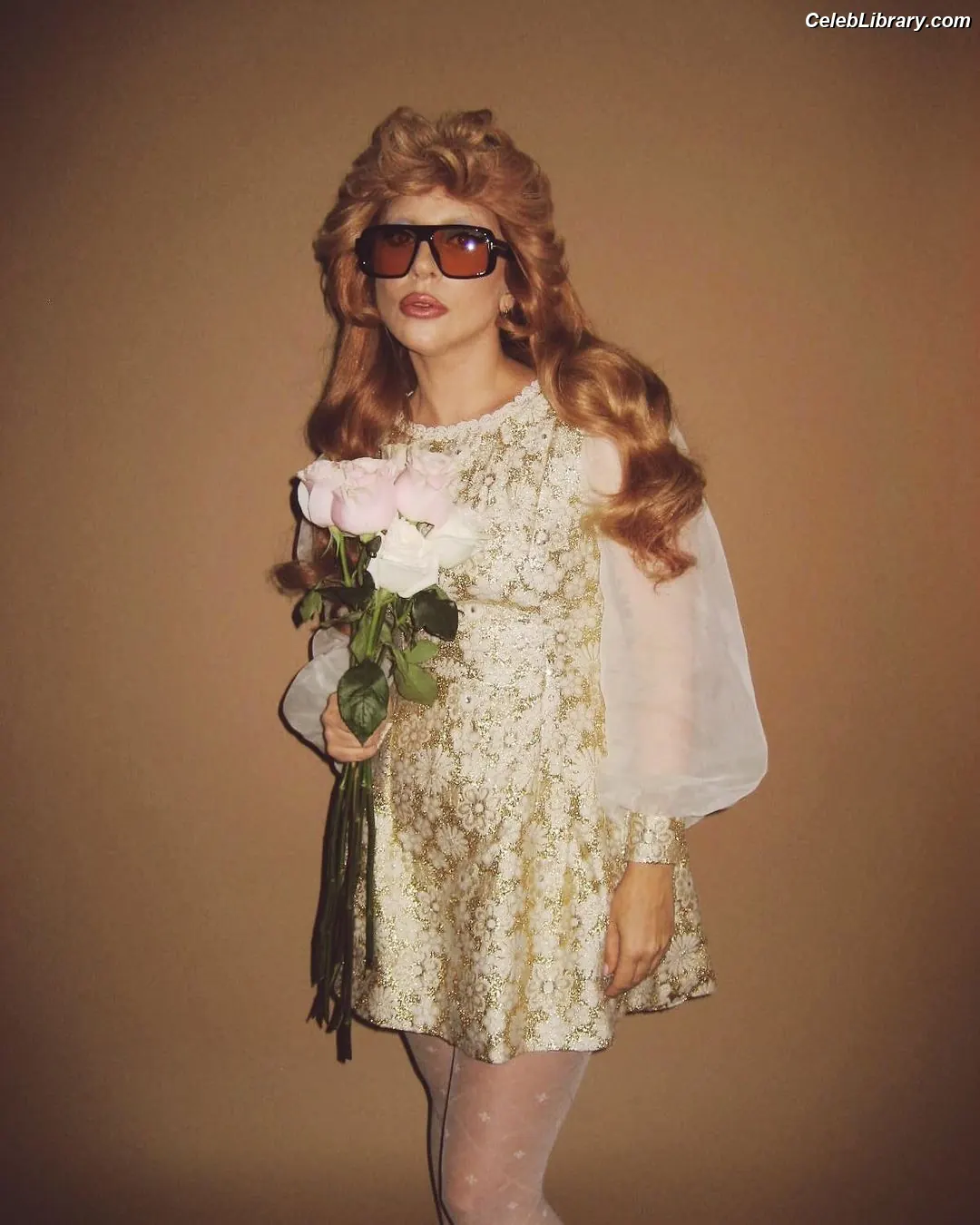 Lady Gaga photo 6 of 3664