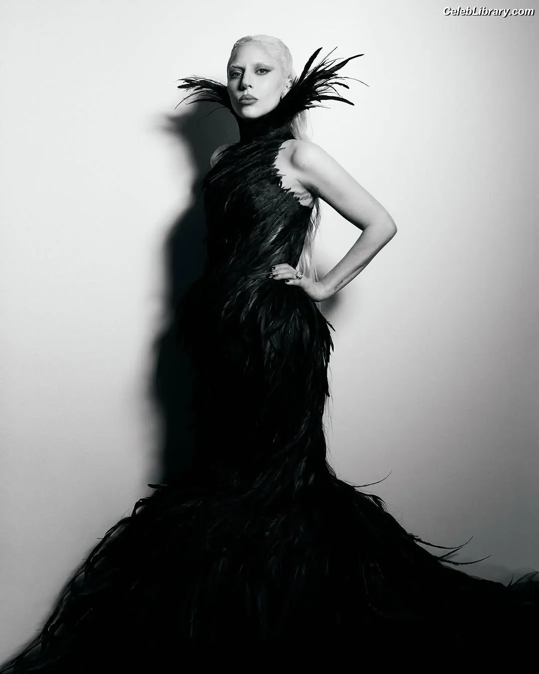 Lady Gaga photo 10 of 3664