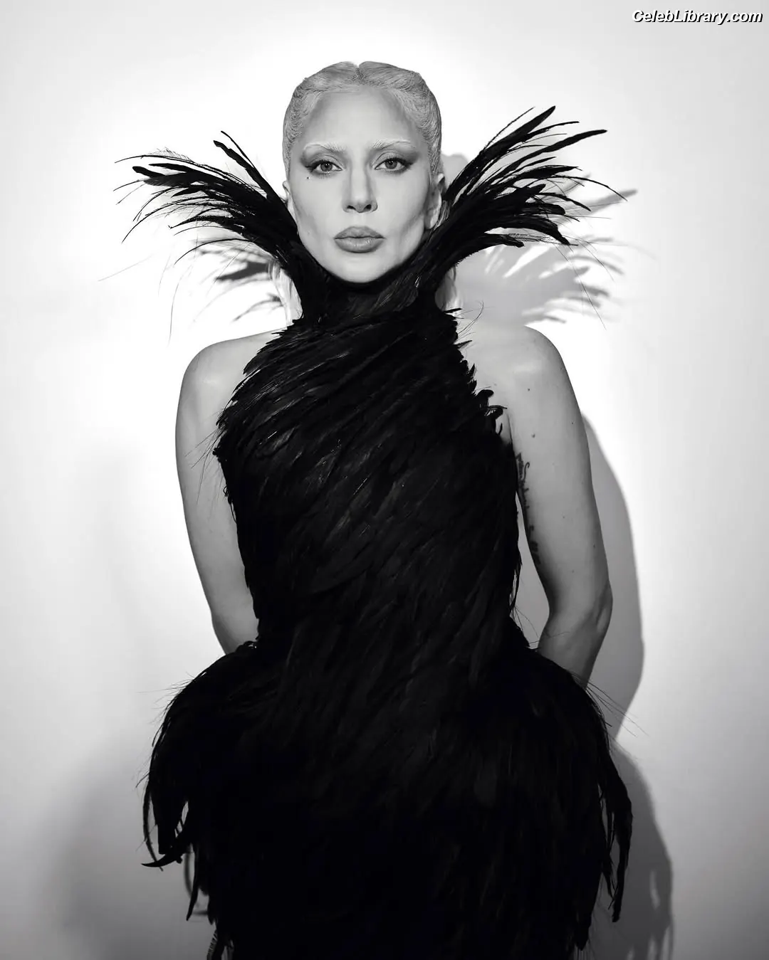 Lady Gaga photo 11 of 3664