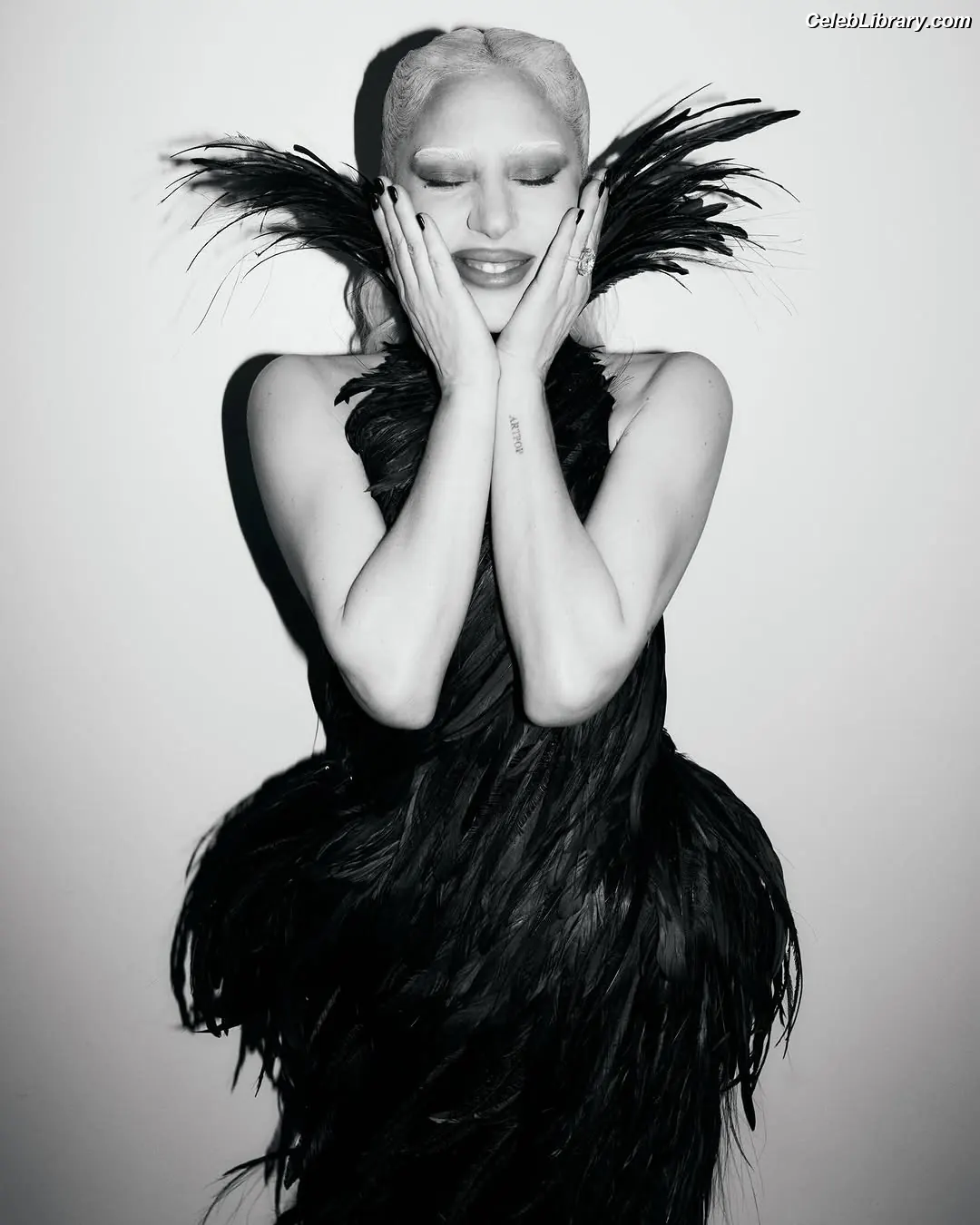 Lady Gaga photo 15 of 3664