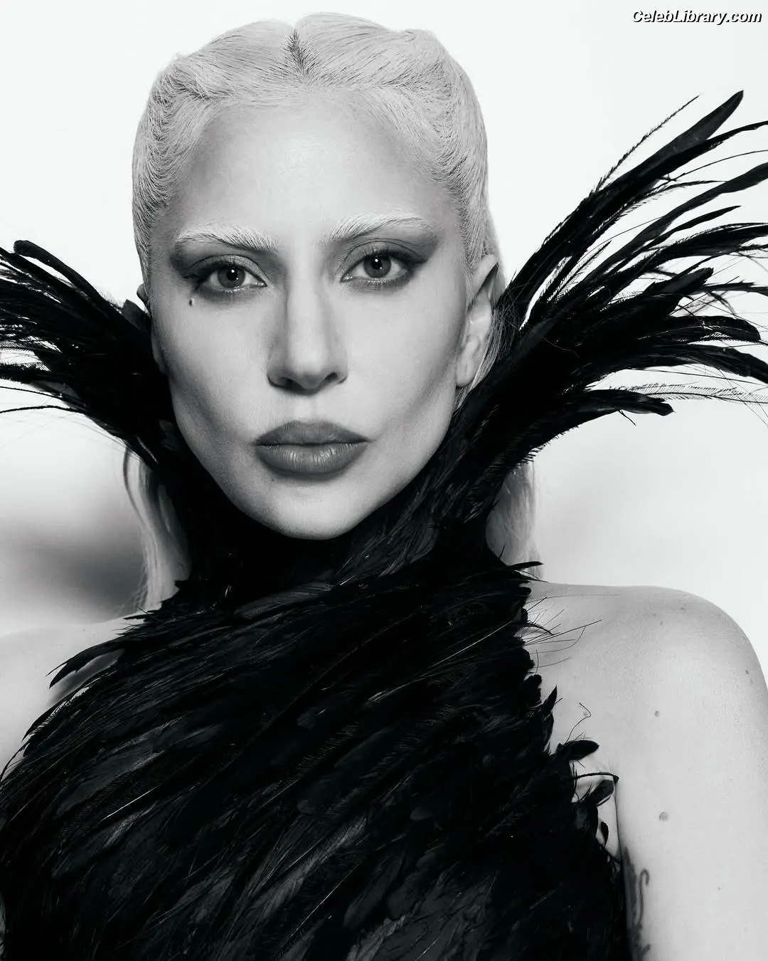 Lady Gaga photo 18 of 3664