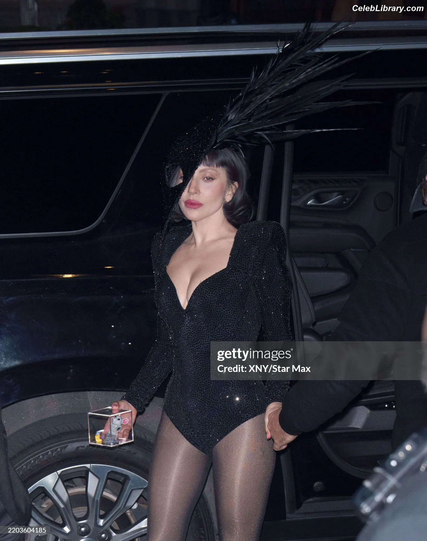 Lady Gaga photo 2 of 3664