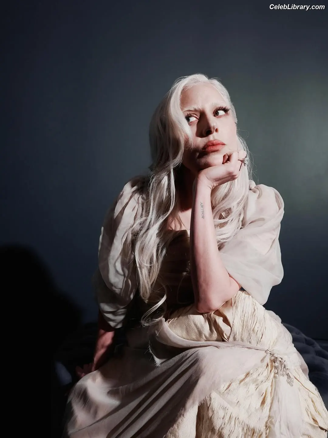 Lady Gaga photo 1 of 3664