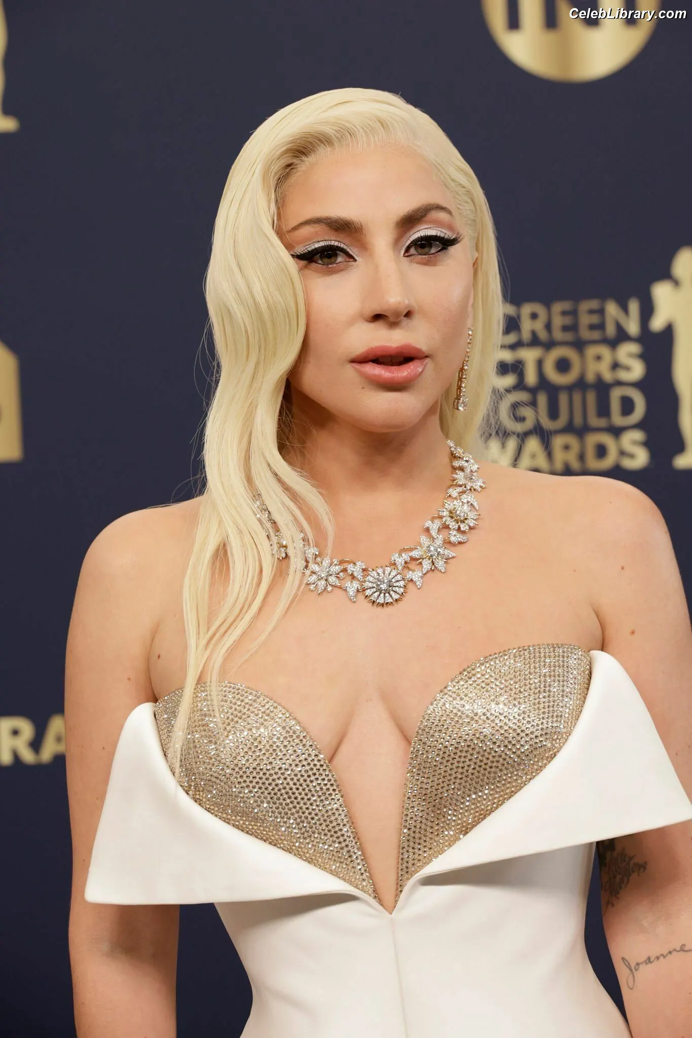 Lady Gaga photo 20 of 3664