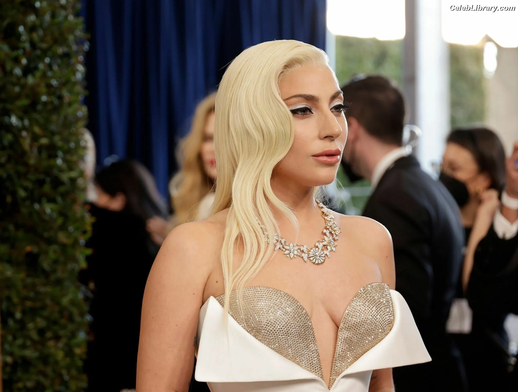 Lady Gaga photo 3 of 3664