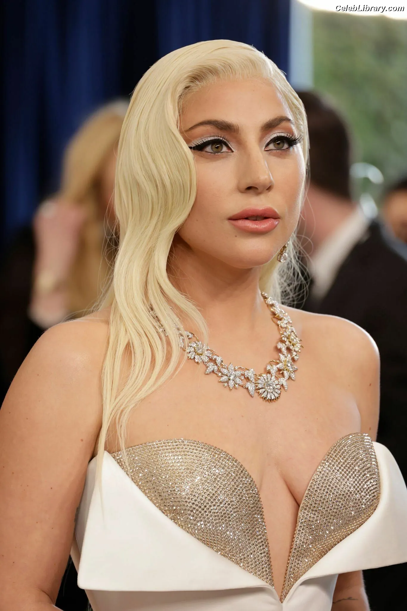 Lady Gaga photo 6 of 3664