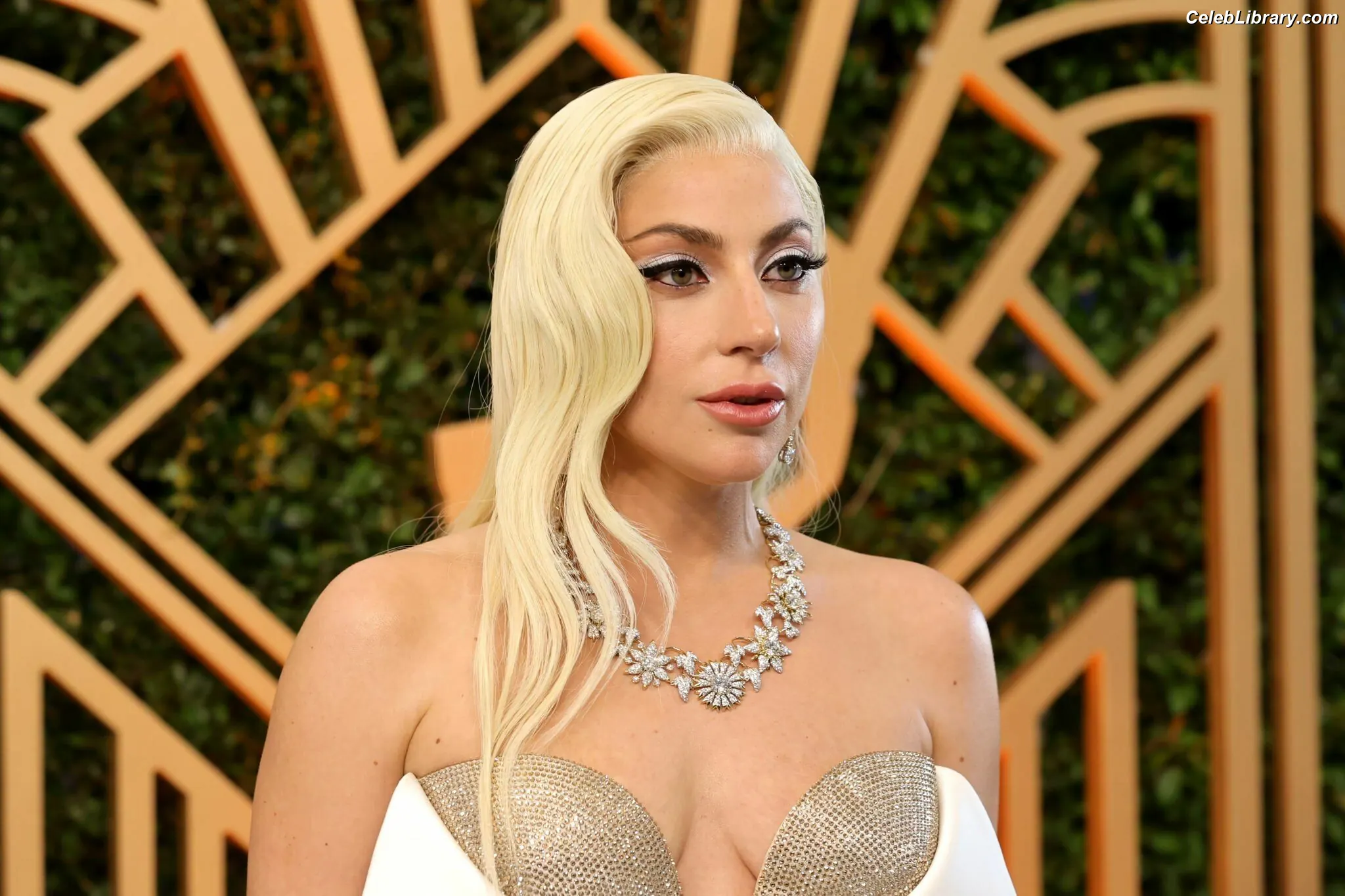 Lady Gaga photo 14 of 3664