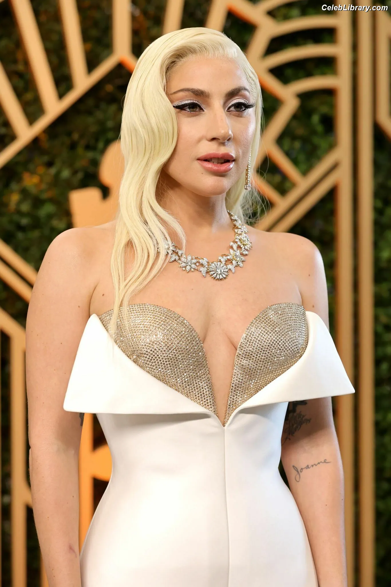 Lady Gaga photo 18 of 3664