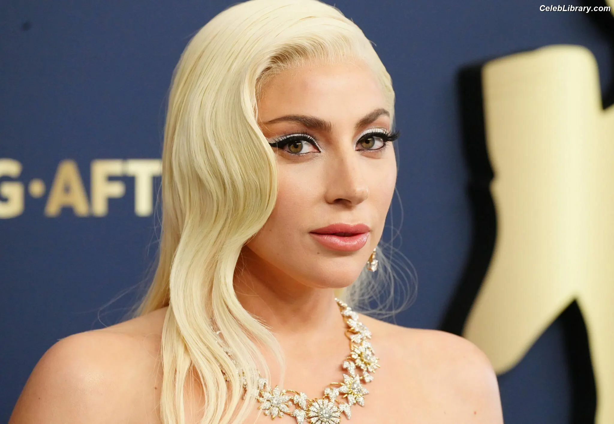 Lady Gaga photo 17 of 3664