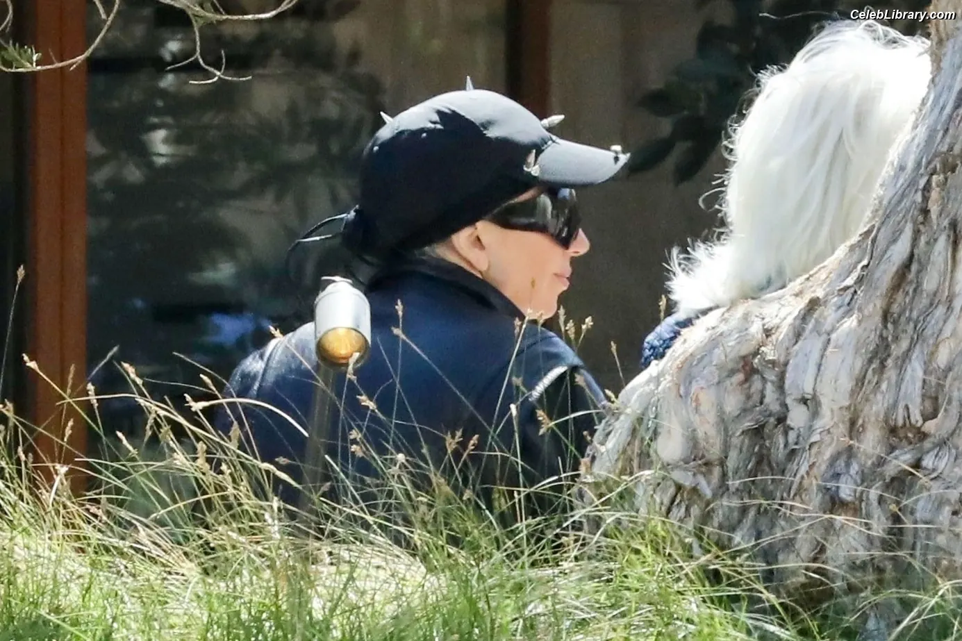 Lady Gaga photo 15 of 3664