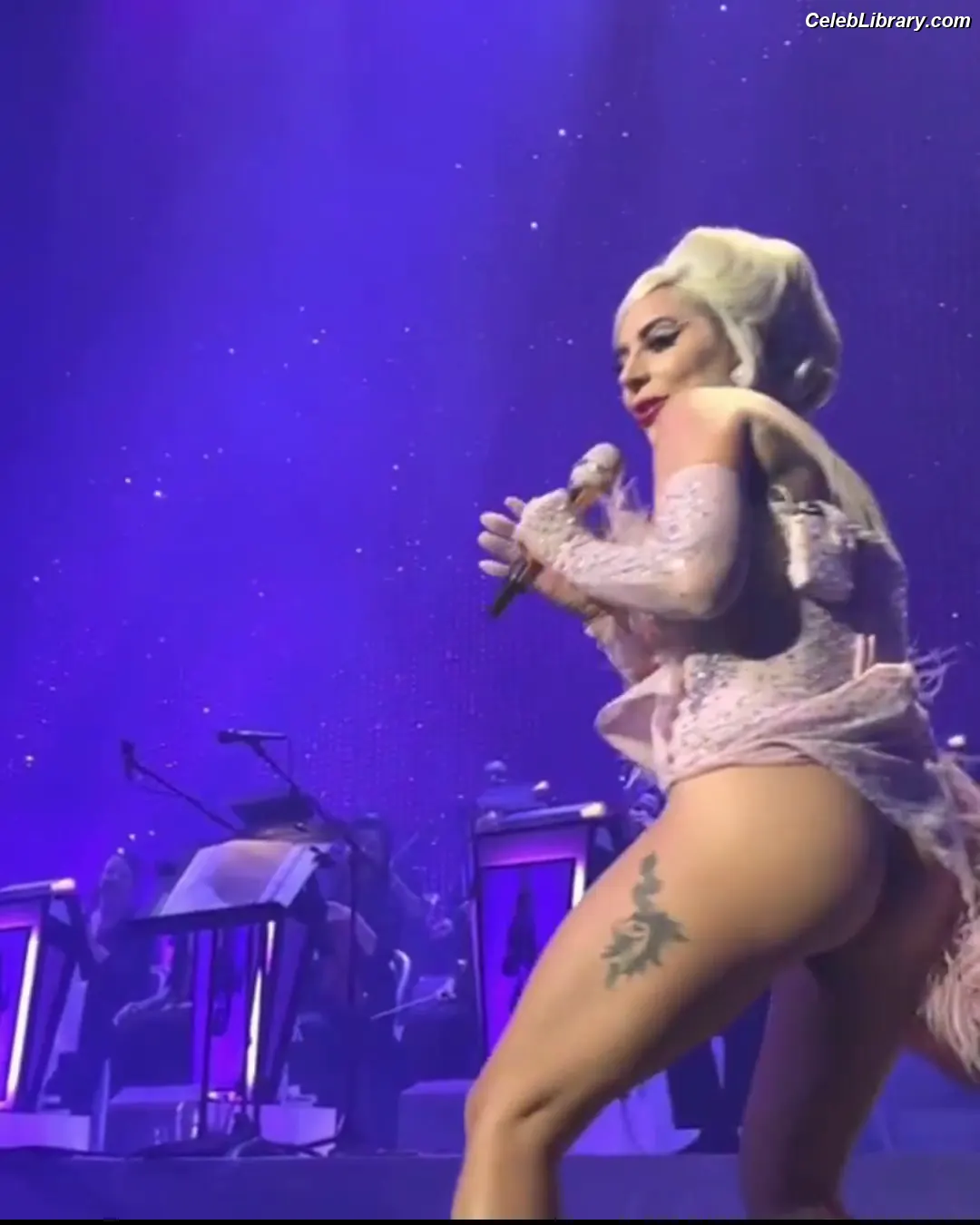 Lady Gaga photo 3 of 3664