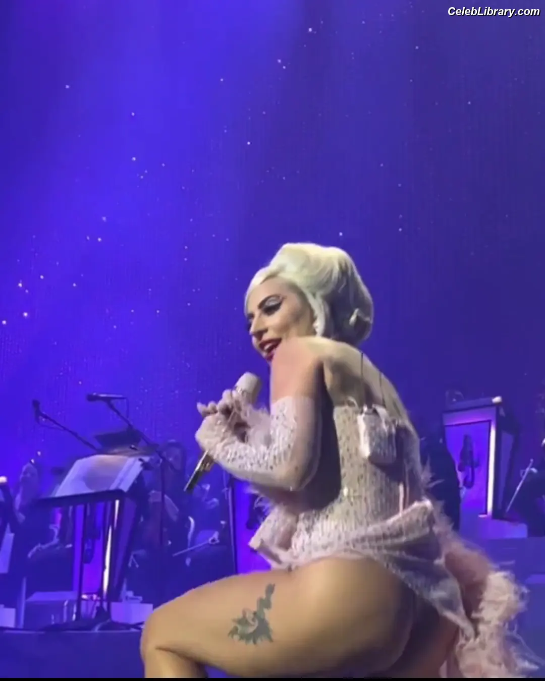 Lady Gaga photo 4 of 3664