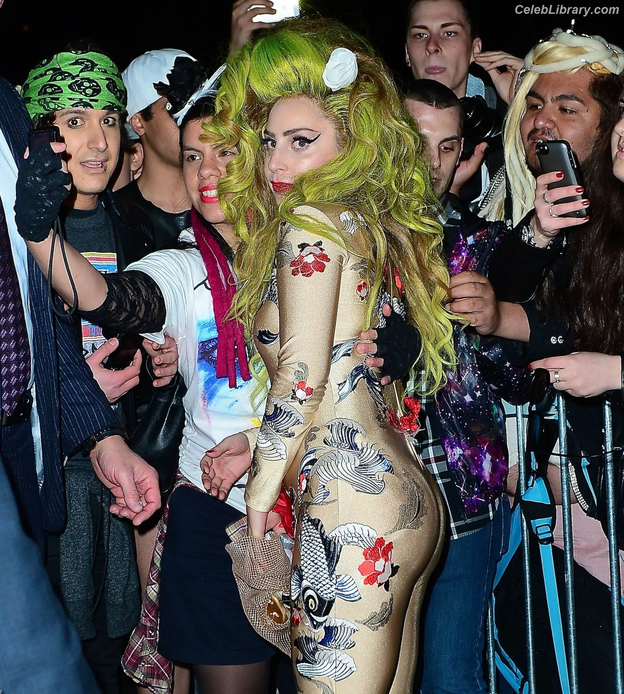 Lady Gaga photo 22 of 3664