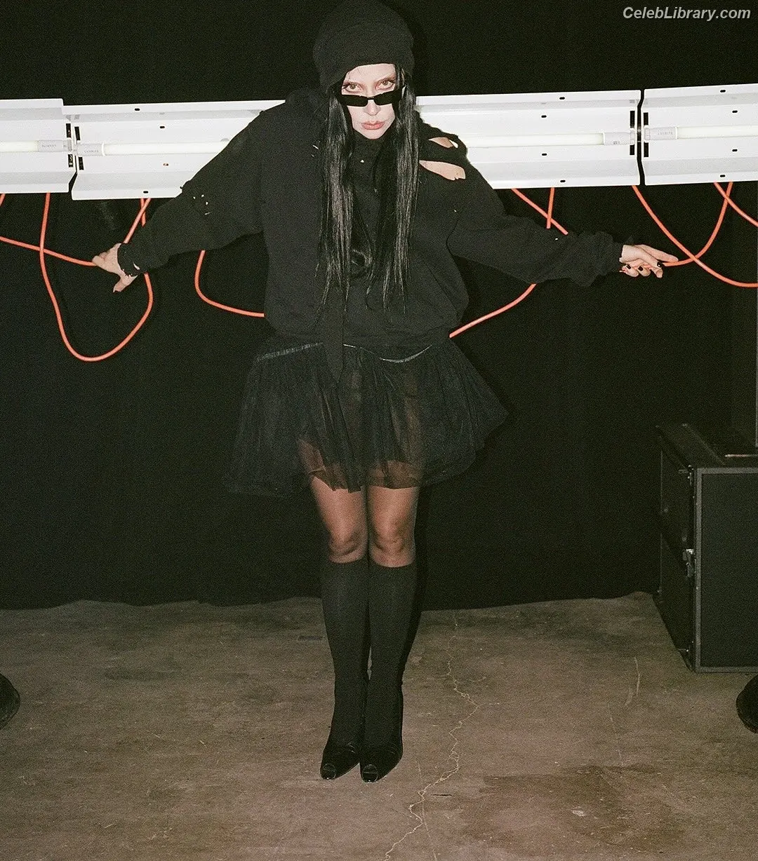 Lady Gaga photo 5 of 3664