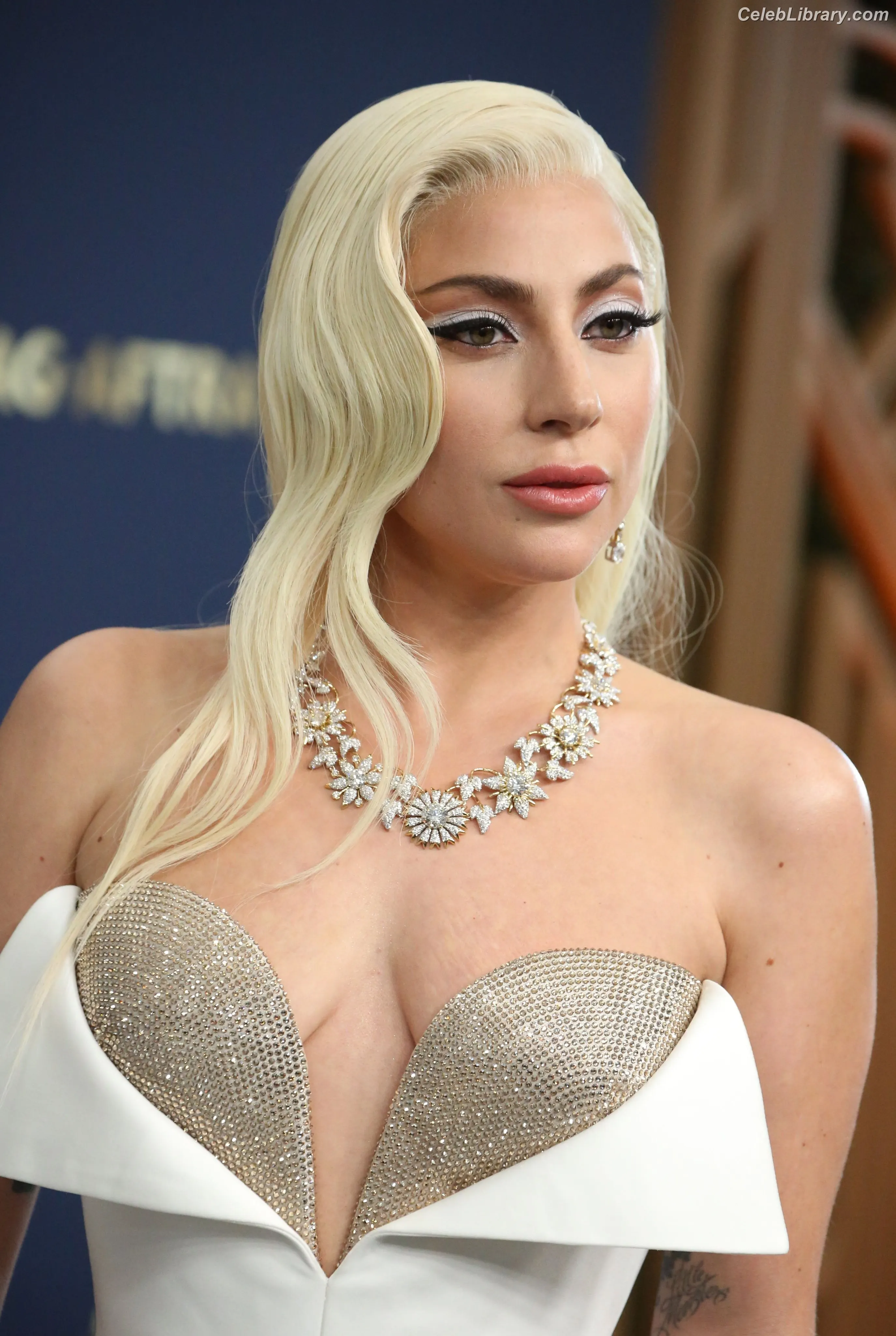 Lady Gaga photo 23 of 3664